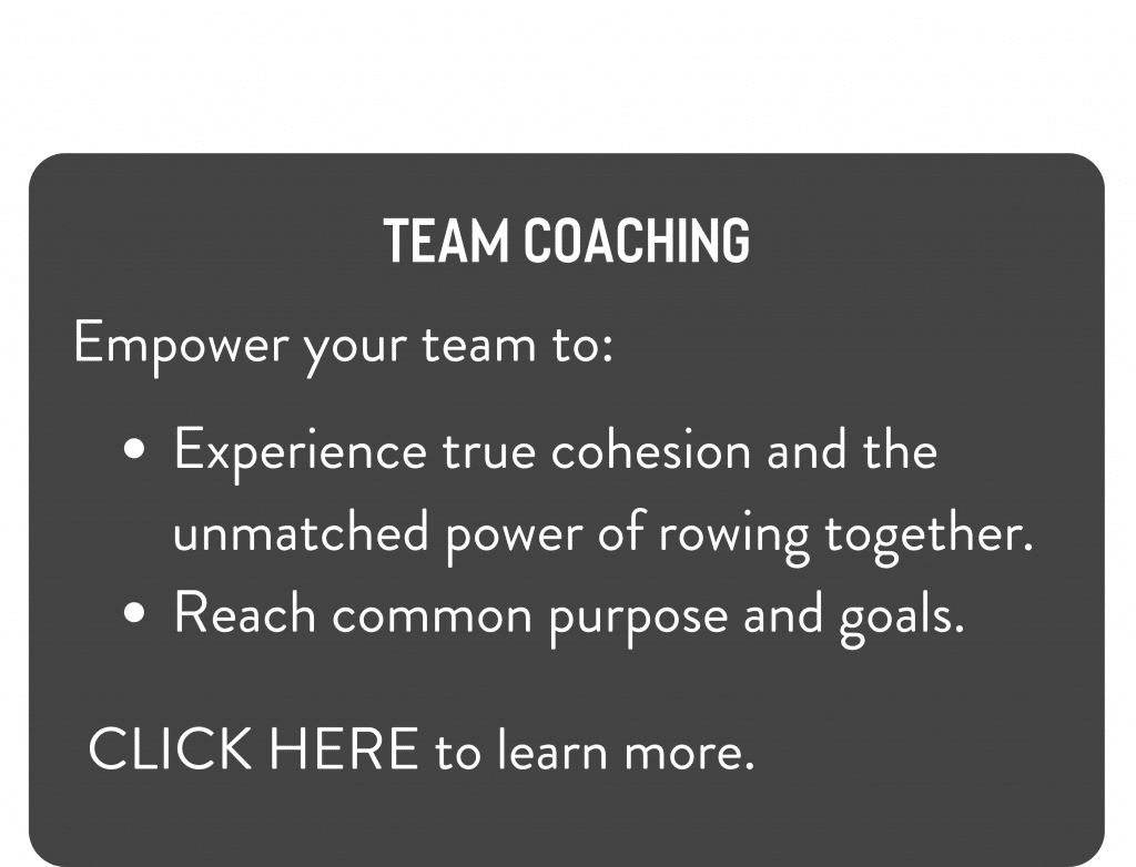 Team Coaching