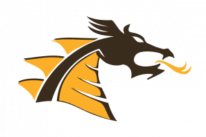 USD 357 Logo